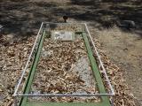 image of grave number 558517